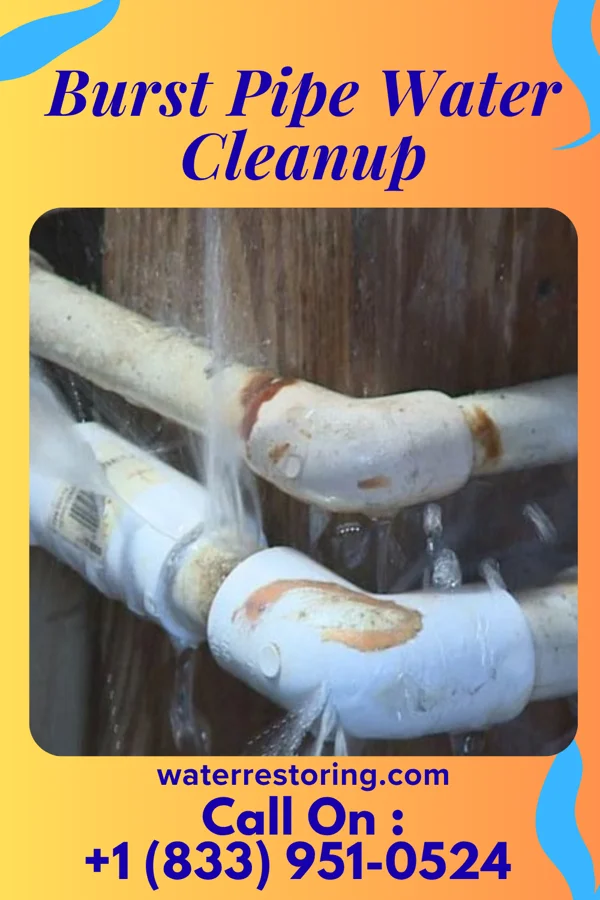 Burst Pipe Water Cleanup in Linds Crossing, PA