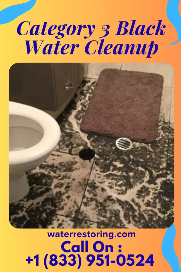 Category 3 Black Water Cleanup in Linds Crossing, PA