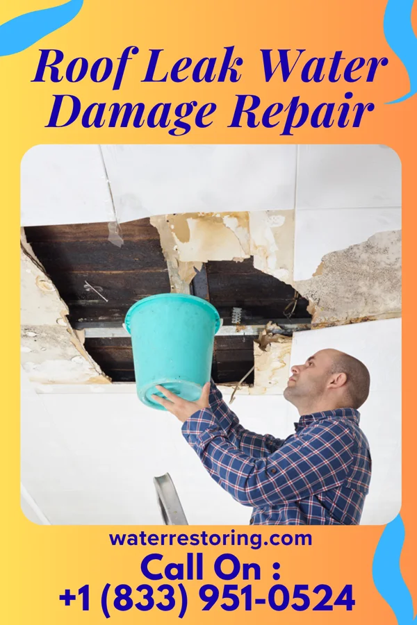 Roof Leak Water Damage Repair in Linds Crossing, PA