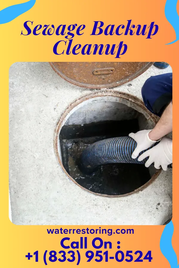 Sewage Backup Cleanup in Linds Crossing, PA