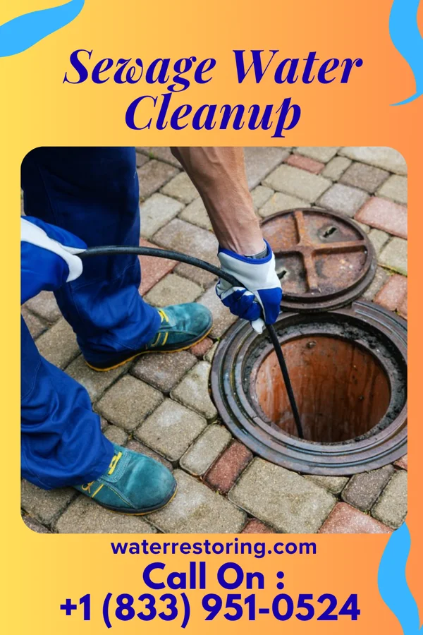 Sewage Water Cleanup in Linds Crossing, PA