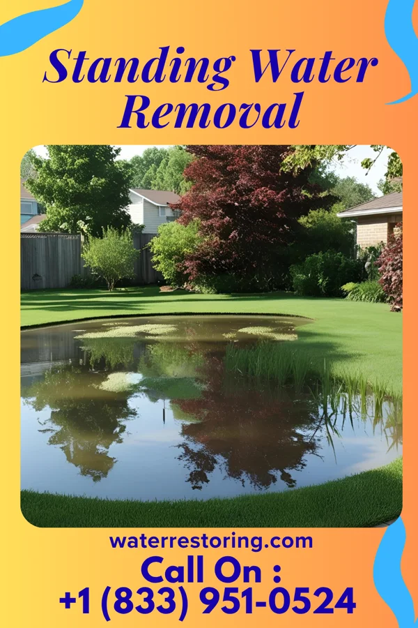 Standing Water Removal in Linds Crossing, PA
